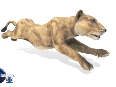 Lion Female Rigged Animated 3D Model Low-poly 3D model