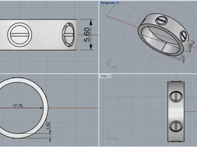 Ring model 567 3D print model