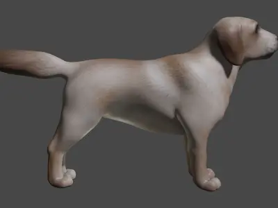 Labrador Dog Breed 3D Model for Games and VR Low-poly 3D model