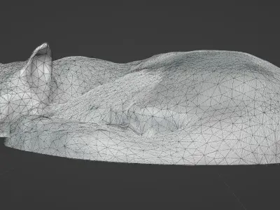Realistic Breathing Cat Low-poly 3D model