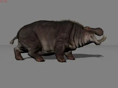 Hippopotamus Animal Low-poly 3D model