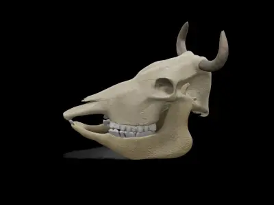 Cow low poly game ready  3D model Low-poly 3D model