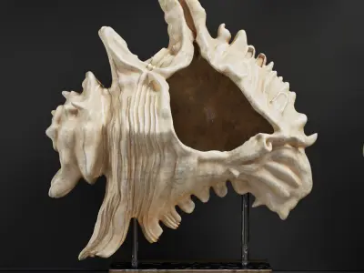 Decor Set 42 3D model