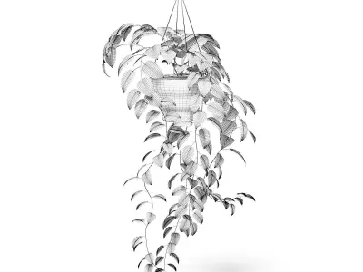 Hanging Plant 3D Model 3D model