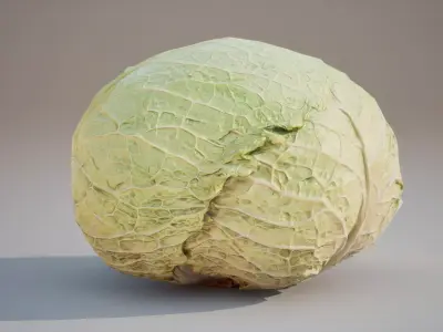 Low Poly 3D Cabbage model Game ready  5K triangles 4K PBR  Low-poly 3D model