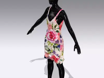 Woman Cloth Dress Low-poly 3D model