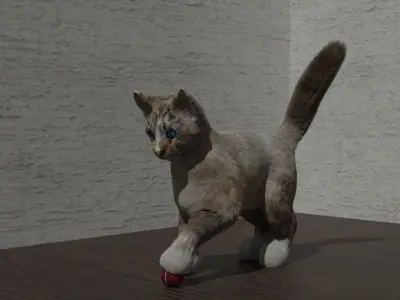 Blue eyed cat Low-poly 3D model