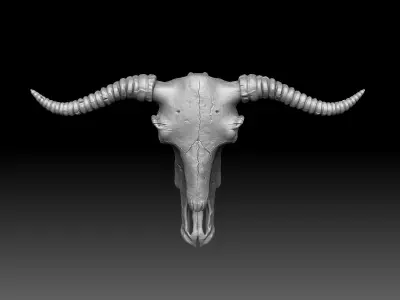 Cow Scull 3D print model