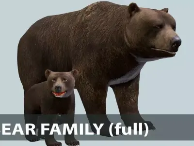 Bear Family 1 Low-poly 3D model