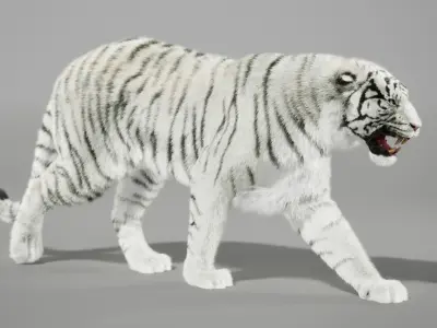 White Tiger Animated UNREAL project  Maya base rig 3D model