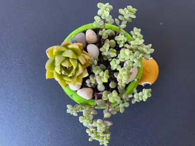 Lonesome George - The Tortoise planter 3D print model