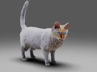 Fur Cat White Rigged Low-poly 3D model