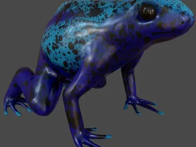 blue frog Dendrobates azureus pbr Low-poly 3D model
