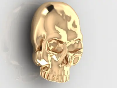 Skull 10 3D print model