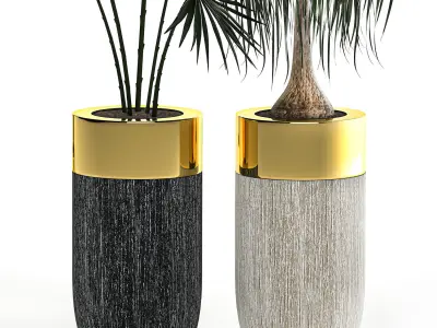 Houseplants in a luxury pot for the interior 705 3D model