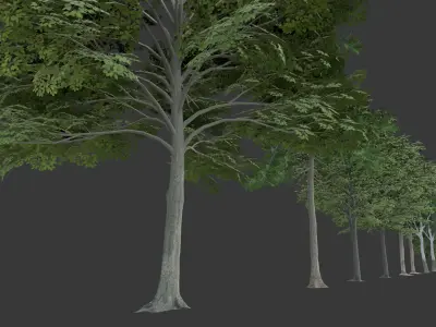 Low Poly Free Tree Pack 1 Free low-poly 3D model