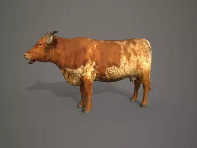 Dairy cow Low-poly 3D model