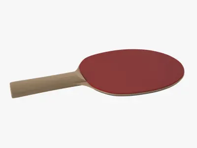 Ping Pong Paddle 3D model