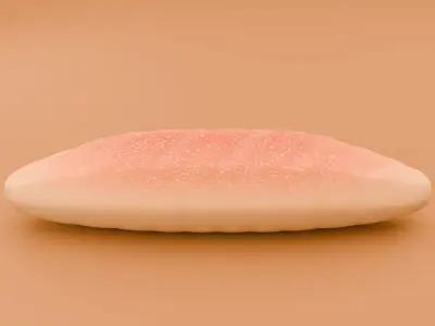 Baguette Free 3D model