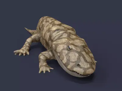 Eryops megacephalus 3D model
