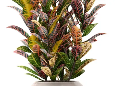 Rack with the decor of figurines and plants 3D model