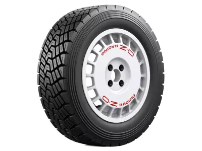 OZ Racing Rally Wheel 2 3D model