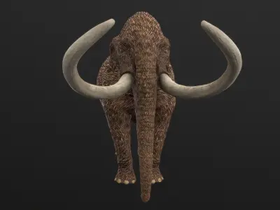 Mammut americanum Low-poly 3D model