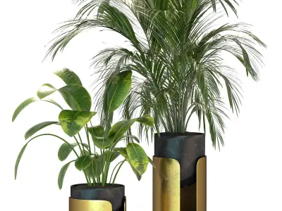 Plant Set 12 3D model