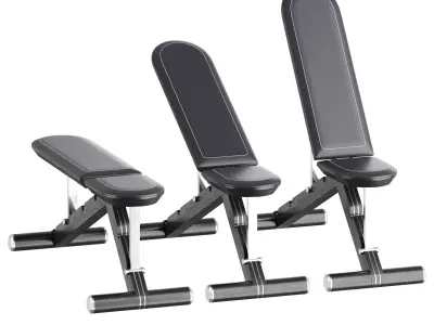 PENT luxury fitness equipment 3D model