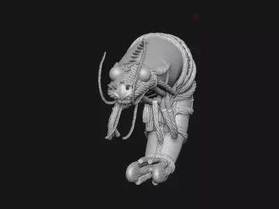 shrimp 3D print model