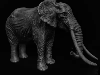 ELEPHANT with tusks Low-poly 3D model order
