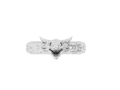 Dragon Ring 3D print model get