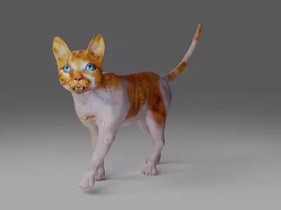 Calico Cat Rigged V2 in Blender Low-poly 3D model