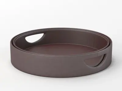 Calligaris Damian PVC tray 3D model