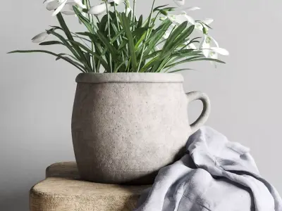 Rustic Snowdrops Decor 3D model