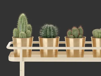 Set of Ikea Cactus 3D model
