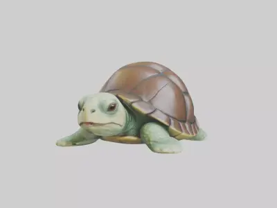 Babyturtle Model 1 Low-poly 3D model
