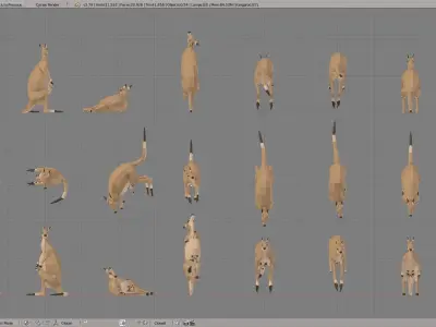 Kangaroos kangaroo Low-poly 3D model
