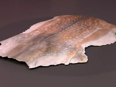 animal pelts volume two Unreal and Unity Low-poly 3D model