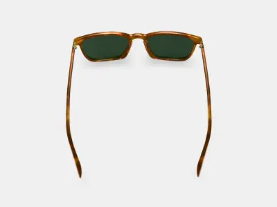 Sutton Sunglasses in Saddle Tortoise with Polished Gold Low-poly 3D model