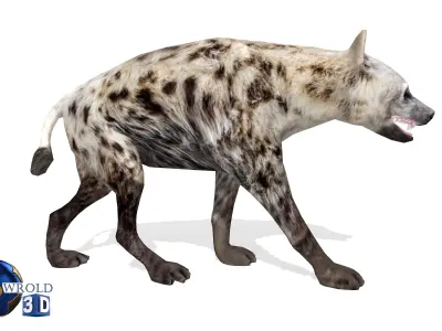 Lowpoly hyena rigged animated 3d model Low-poly 3D model