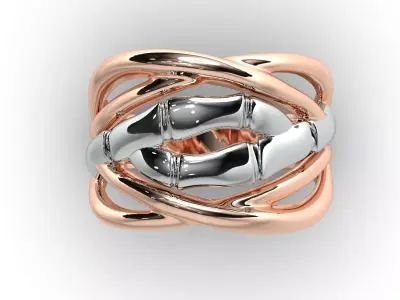 Bamboo ring 3D print model