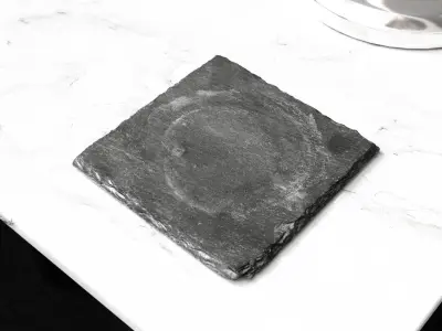 Slate Coasters 1 3D model