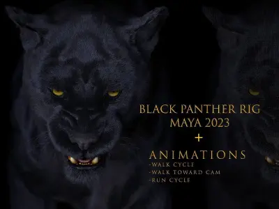 Black Panther ANIMATED Xgen core 3D model