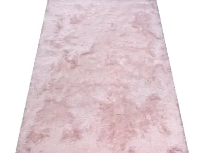 Rug Set 1322 3D model