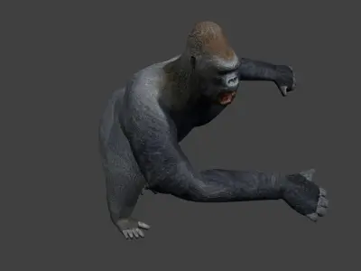 Gorilla Low-poly 3D model get