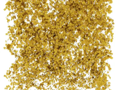 Maple wall 3 items 3D model