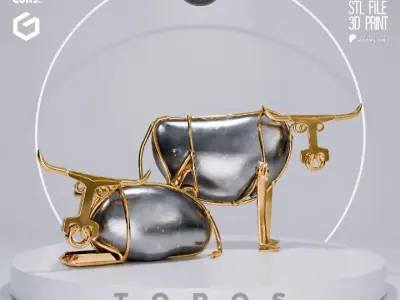 TOROS 3D print model