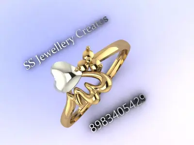 Plan-Rings-Description Check 3D print model
