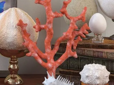 Decorative set Insects 3D model